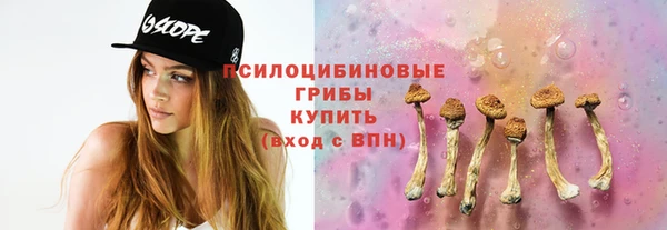 метадон Арсеньев