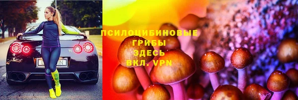метадон Арсеньев