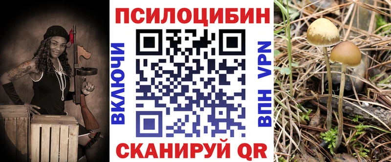Псилоцибиновые грибы прущие грибы  цены наркотик  Данков 